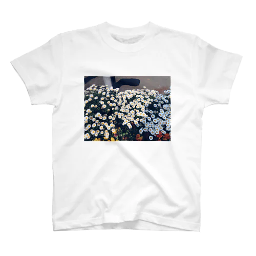 #240_flower スタンダードTシャツ