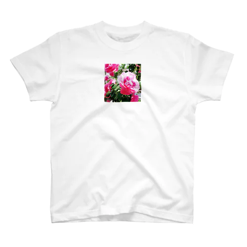 pink rose Regular Fit T-Shirt