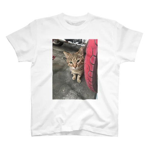 猫が行方不明 スタンダードTシャツ