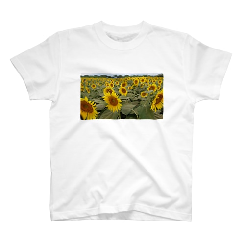 ひまわり畑 Regular Fit T-Shirt