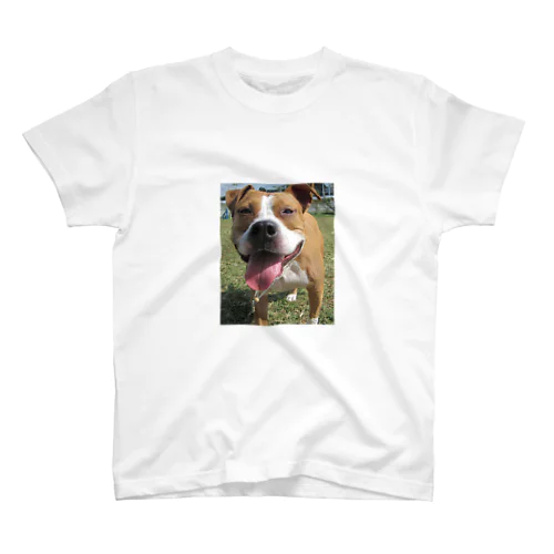 ブサ顔犬 Regular Fit T-Shirt