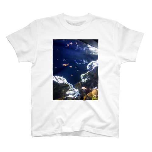 海の世界 スタンダードTシャツ