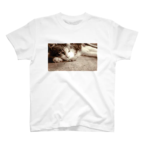 枯れ葉と猫 Regular Fit T-Shirt