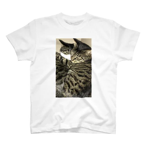 猫 二匹 Regular Fit T-Shirt