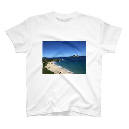 Hawaii🌴4 スタンダードTシャツ