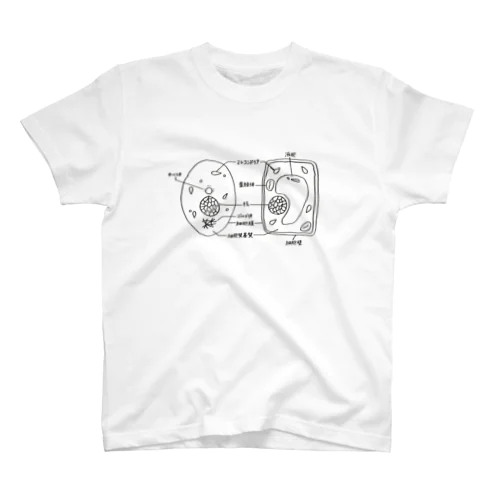 細胞 スタンダードTシャツ