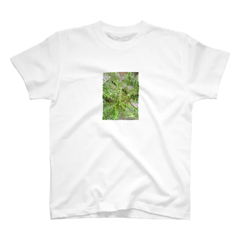 緑花 Regular Fit T-Shirt