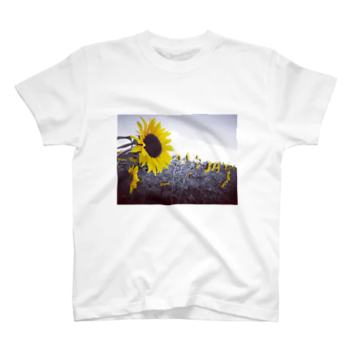 Sunflower スタンダードTシャツ