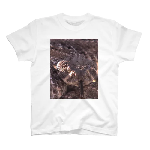 ヘビ2 Regular Fit T-Shirt
