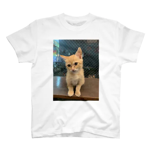 カレーちゃん　猫 Regular Fit T-Shirt