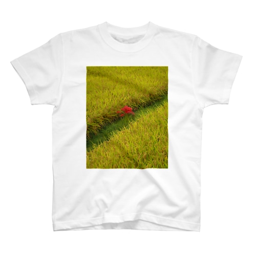 田園 Regular Fit T-Shirt