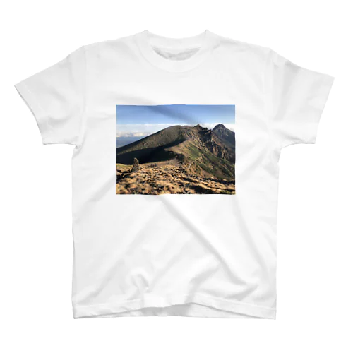 山T Regular Fit T-Shirt