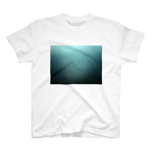 水面Ｔ Regular Fit T-Shirt