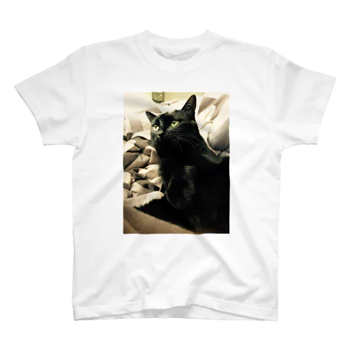 まっくろくろねこ Regular Fit T-Shirt