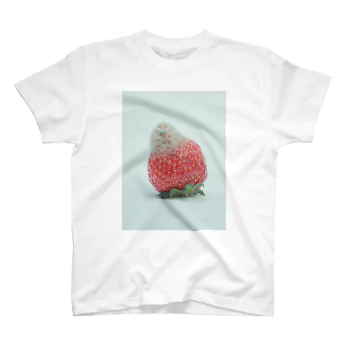 cloud with the strawberry Regular Fit T-Shirt