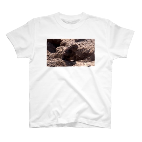 イグアナ Regular Fit T-Shirt