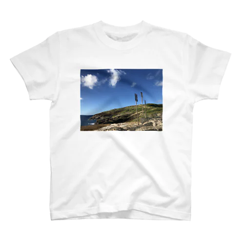 Aloha Regular Fit T-Shirt