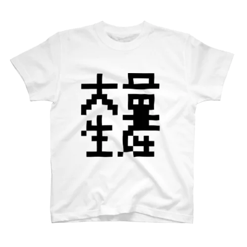 大量生産T Regular Fit T-Shirt