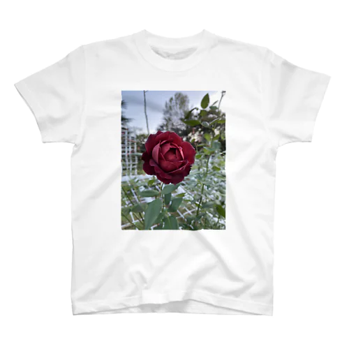 代々木野薔薇 Regular Fit T-Shirt