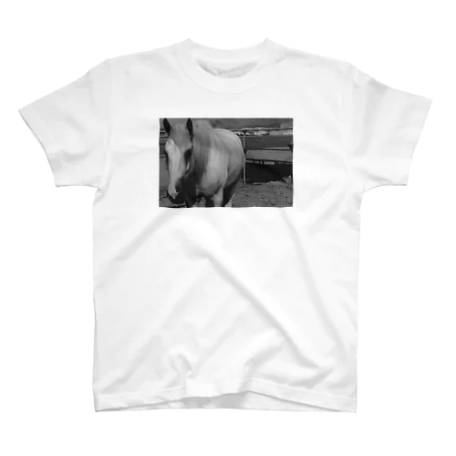 馬 Regular Fit T-Shirt
