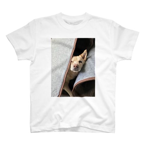 昼寝してるのに、カーペットの掃除はやめて欲しいの。 Regular Fit T-Shirt