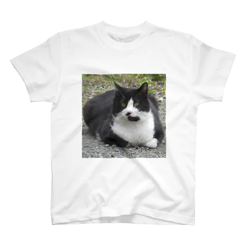 野良猫_正 スタンダードTシャツ