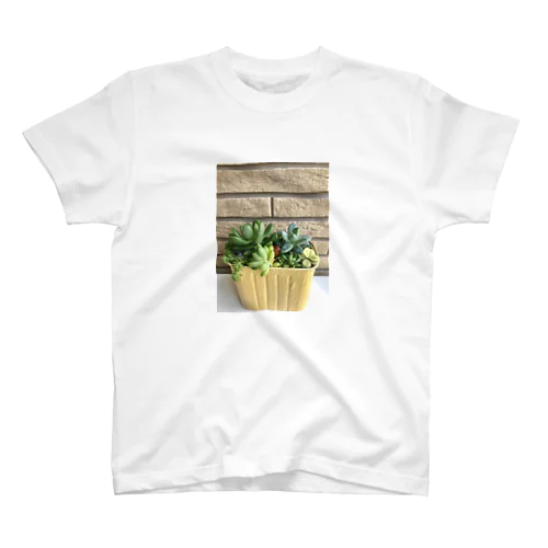 多肉植物 Regular Fit T-Shirt