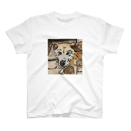 【保護犬／迷子犬】タロちゃん Regular Fit T-Shirt