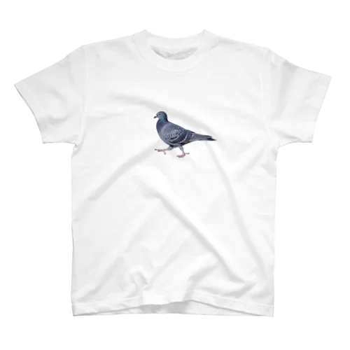 行方不明のドバト_鳩 Regular Fit T-Shirt