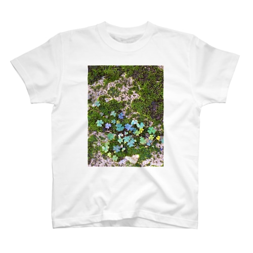 HC Regular Fit T-Shirt