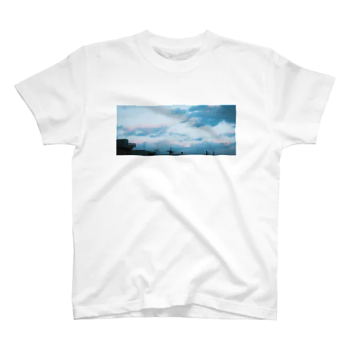 sky Regular Fit T-Shirt