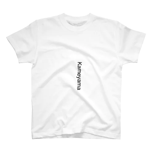 ローマ字かめ スタンダードTシャツ