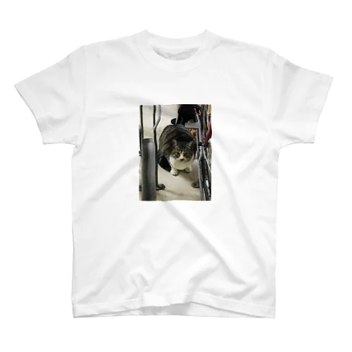 Neko Regular Fit T-Shirt