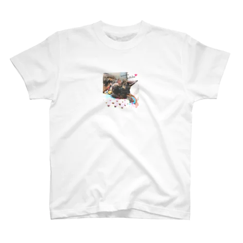 保護猫チャリティ🐾 Regular Fit T-Shirt