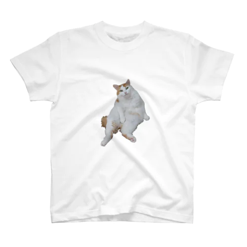 SHIRONEKO (LAZY) Regular Fit T-Shirt