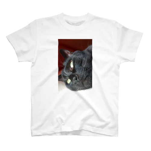 黒猫こばんのおこ顔 スタンダードTシャツ