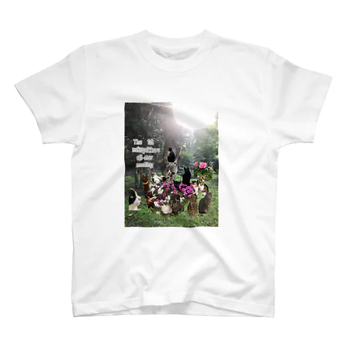 The  1st all-star meeting スタンダードTシャツ