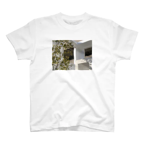 Window. Regular Fit T-Shirt