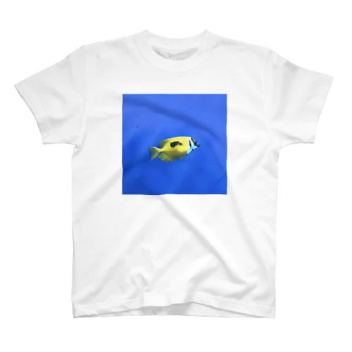 Fish＆Blue Regular Fit T-Shirt