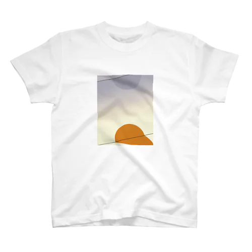 Flat Earth Regular Fit T-Shirt