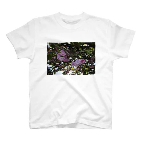 残った桜 スタンダードTシャツ