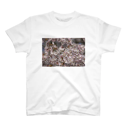 光景　sight0053　桜　2015_009　サクラ Regular Fit T-Shirt