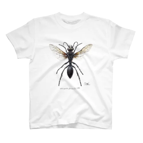 クロアナバチ　Sphex argentatus fumosus  スタンダードTシャツ