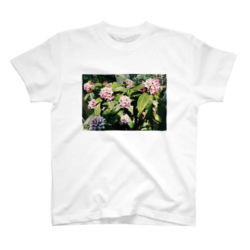 実家の花 Regular Fit T-Shirt