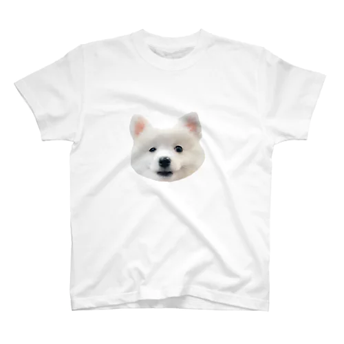 何かを企む犬　Tシャツ スタンダードTシャツ