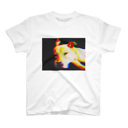 Crazy Mix Dog Sleep 雑種犬 寝姿 プリントTシャツ スタンダードTシャツ