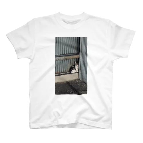 野生の猫 スタンダードTシャツ