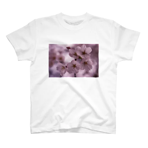 桜　サクラ　cherry blossom DATA_P_092 スタンダードTシャツ