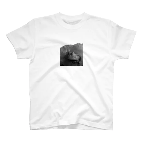 巌窟王の蛙 Regular Fit T-Shirt