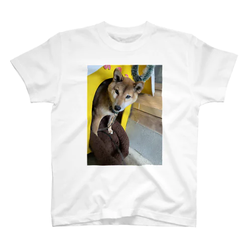 愛犬 Regular Fit T-Shirt